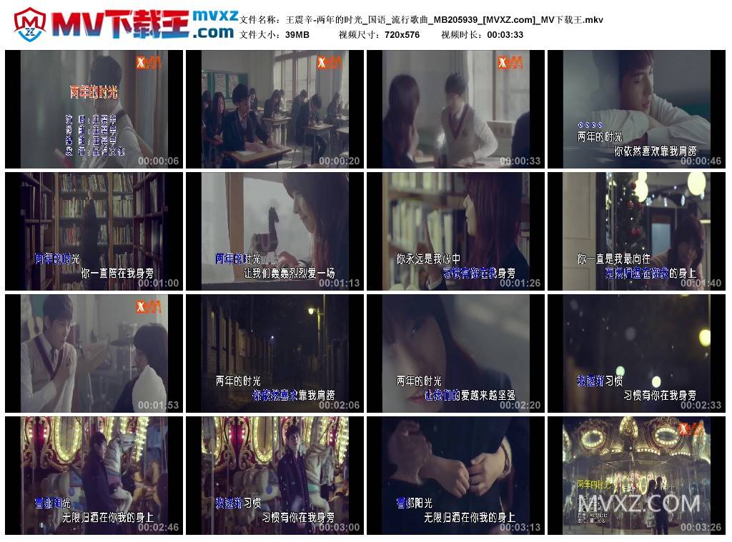 王震辛-两年的时光_国语_流行歌曲_MB205939